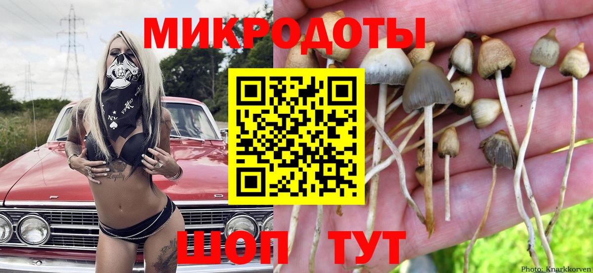 Галлюциногенные грибы GOLDEN TEACHER Москва