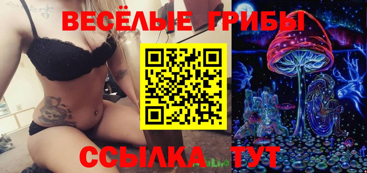 Москва  Галлюциногенные грибы Psilocybine cubensis  Вход с VPN 